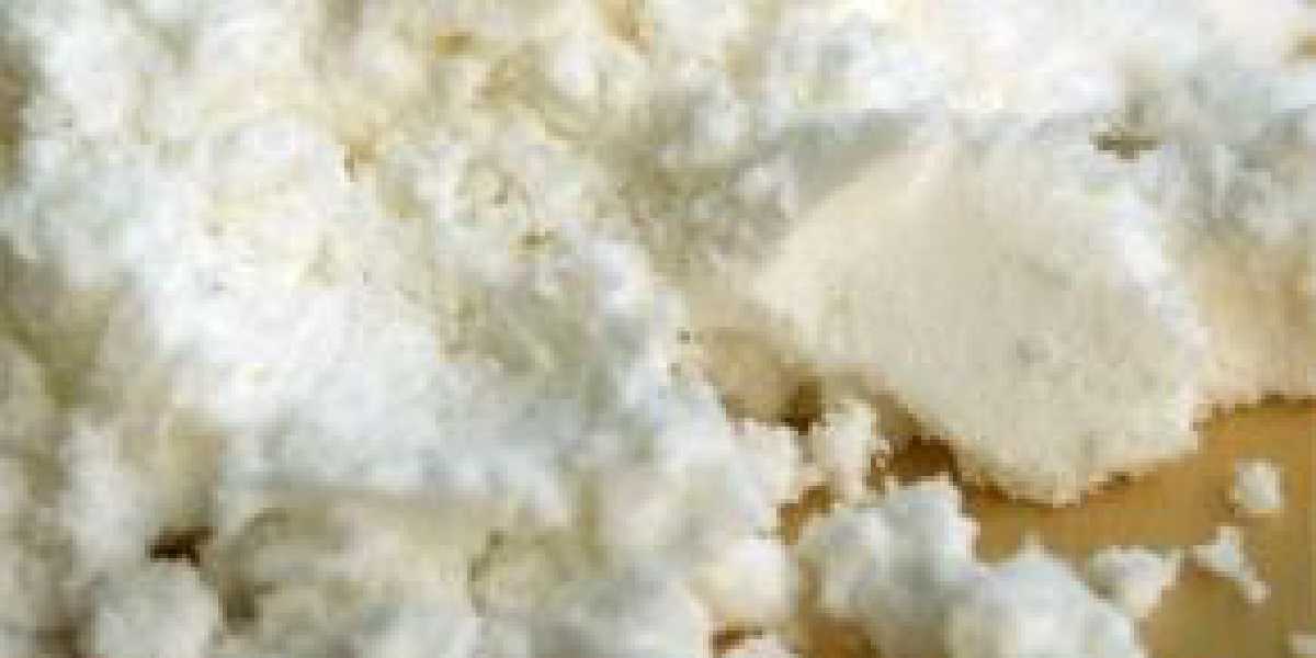 Skimmed Milk Powder